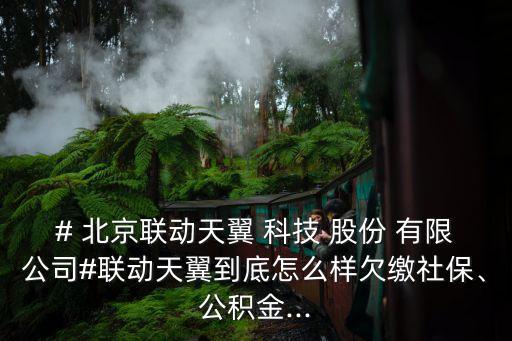 # 北京聯(lián)動天翼 科技 股份 有限公司#聯(lián)動天翼到底怎么樣欠繳社保、公積金...