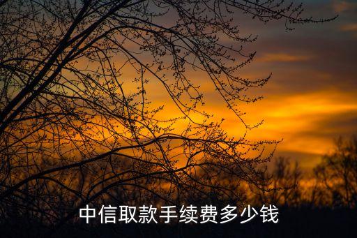 中信取款手續(xù)費(fèi)多少錢(qián)