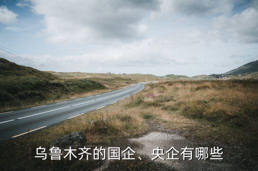 烏魯木齊的國企、央企有哪些
