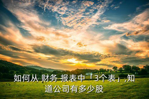 如何從 財務(wù) 報表中「3個表」,知道公司有多少股