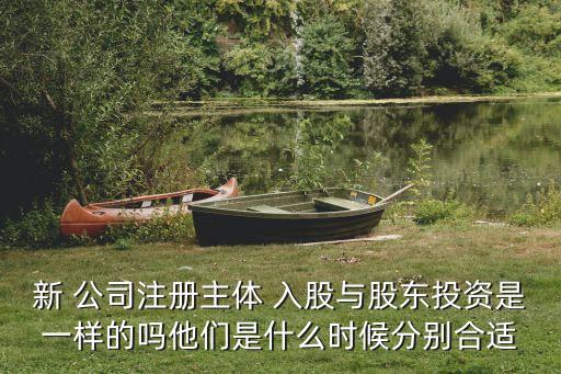 入股新公司,以現有公司的資產投資入股新公司