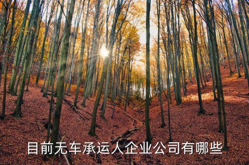 目前無(wú)車承運(yùn)人企業(yè)公司有哪些