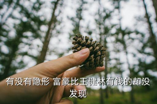 有沒(méi)有隱形 富豪比王健林有錢(qián)的卻沒(méi)發(fā)現(xiàn)