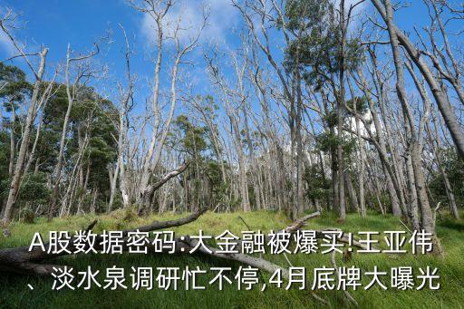 A股數(shù)據(jù)密碼:大金融被爆買(mǎi)!王亞偉、淡水泉調(diào)研忙不停,4月底牌大曝光