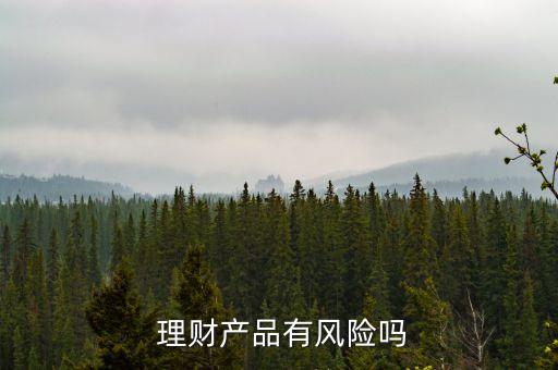  理財產(chǎn)品有風險嗎
