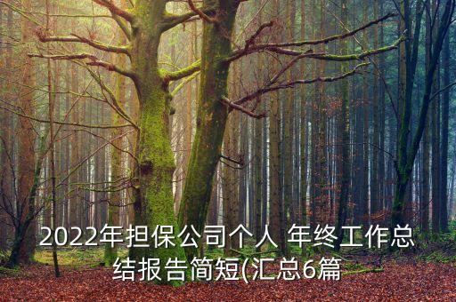 2022年擔(dān)保公司個人 年終工作總結(jié)報(bào)告簡短(匯總6篇