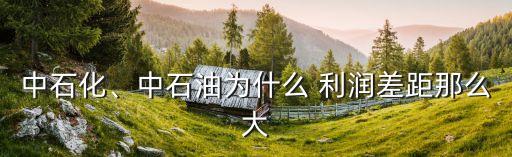 中石化、中石油為什么 利潤(rùn)差距那么大