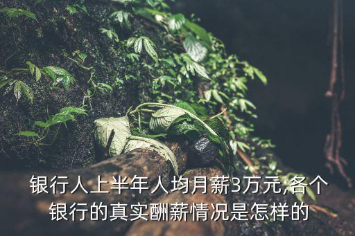  銀行人上半年人均月薪3萬元,各個 銀行的真實(shí)酬薪情況是怎樣的