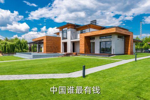 中國(guó)誰(shuí)最有錢(qián)