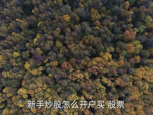 新手炒股怎么開(kāi)戶(hù)買(mǎi) 股票