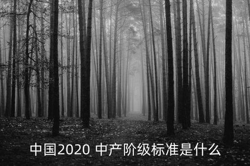 中國多少錢才叫中產,nba全額中產多少錢
