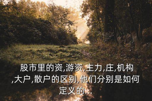  股市里的資,游資,主力,莊,機(jī)構(gòu),大戶(hù),散戶(hù)的區(qū)別,他們分別是如何定義的...