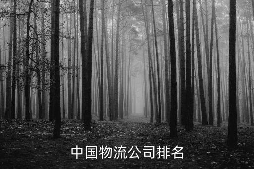 中國(guó)物流公司排名