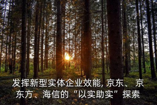發(fā)揮新型實體企業(yè)效能, 京東、 京東方、海信的“以實助實”探索