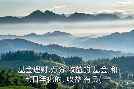歷史上貨幣基金有負收益嗎
