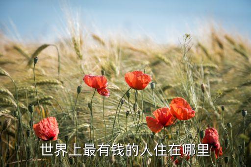 世界上最有錢(qián)的人住在哪里