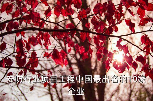 安防行業(yè)項(xiàng)目工程中國最出名的10家企業(yè)