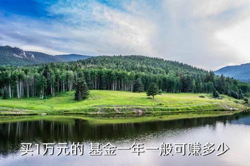 買(mǎi)1萬(wàn)元的 基金一年一般可賺多少