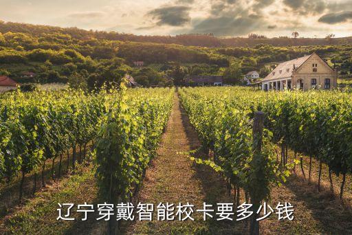 遼寧穿戴智能?？ㄒ嗌馘X