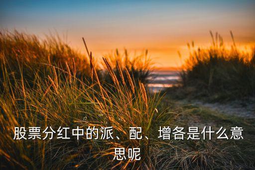  股票分紅中的派、配、增各是什么意思呢