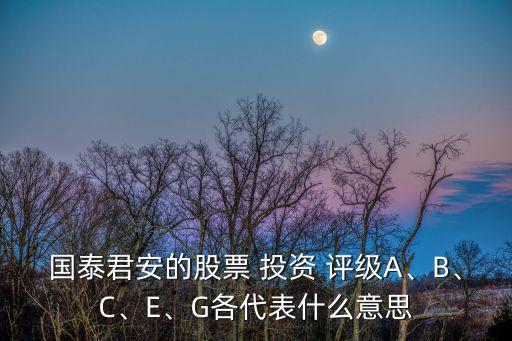 國泰君安的股票 投資 評級A、B、C、E、G各代表什么意思