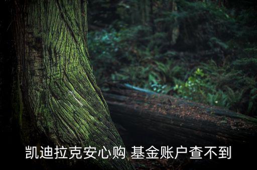 凱迪拉克安心購(gòu) 基金賬戶(hù)查不到
