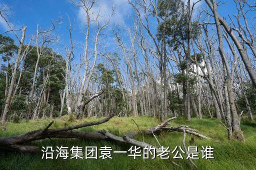 沿海集團(tuán)袁一華的老公是誰(shuí)