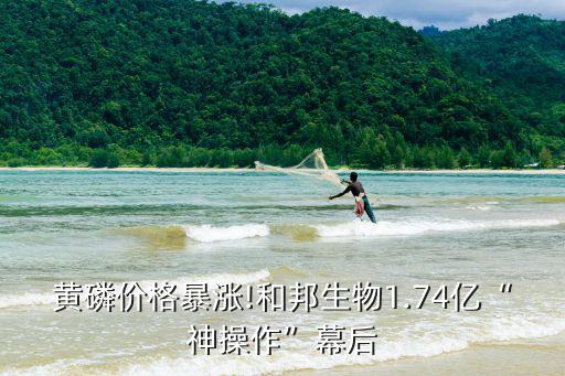 黃磷價格暴漲!和邦生物1.74億“神操作”幕后