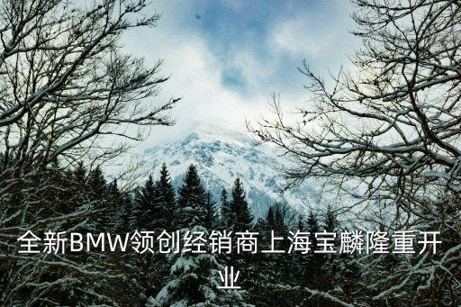 全新BMW領(lǐng)創(chuàng)經(jīng)銷商上海寶麟隆重開業(yè)