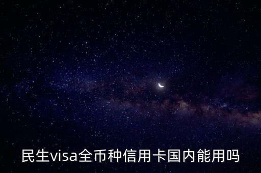 民生visa全幣種信用卡國內能用嗎