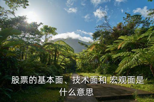  股票的基本面、技術(shù)面和 宏觀面是什么意思