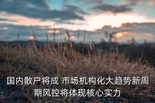 國(guó)內(nèi)散戶(hù)將成 市場(chǎng)機(jī)構(gòu)化大趨勢(shì)新周期風(fēng)控將體現(xiàn)核心實(shí)力