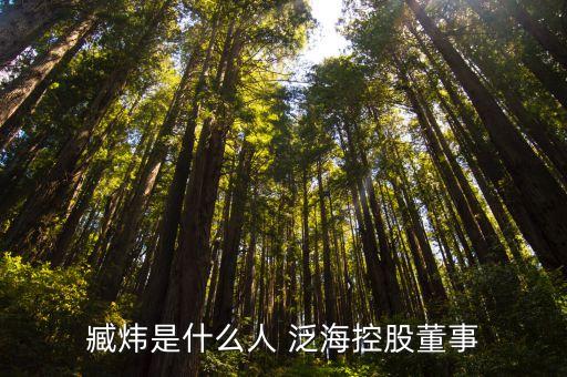 臧煒是什么人 泛?？毓啥? class=