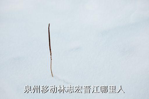 泉州移動(dòng)林志宏晉江哪里人