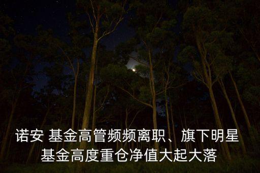 諾安 基金高管頻頻離職、旗下明星 基金高度重倉(cāng)凈值大起大落