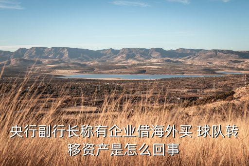 央行副行長稱有企業(yè)借海外買 球隊轉移資產(chǎn)是怎么回事