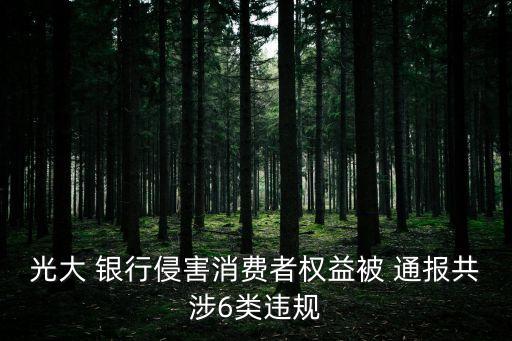 光大 銀行侵害消費(fèi)者權(quán)益被 通報(bào)共涉6類(lèi)違規(guī)