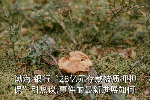  渤海 銀行“28億元存款被質(zhì)押擔保”引熱議,事件的最新進展如何