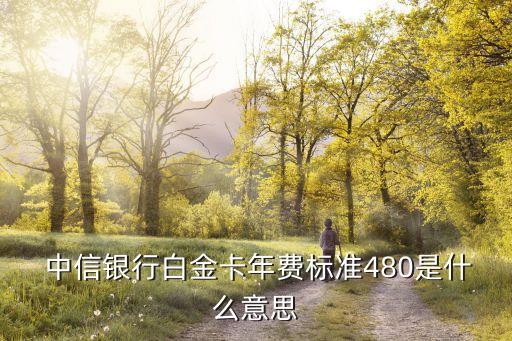  中信銀行白金卡年費標(biāo)準(zhǔn)480是什么意思