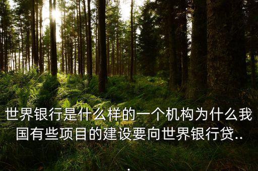 世界銀行是什么樣的一個機構(gòu)為什么我國有些項目的建設要向世界銀行貸...