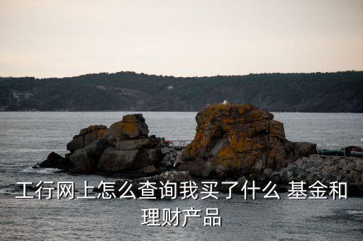 工行網(wǎng)上怎么查詢我買了什么 基金和理財(cái)產(chǎn)品