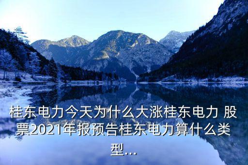 桂東電力今天為什么大漲桂東電力 股票2021年報預告桂東電力算什么類型...