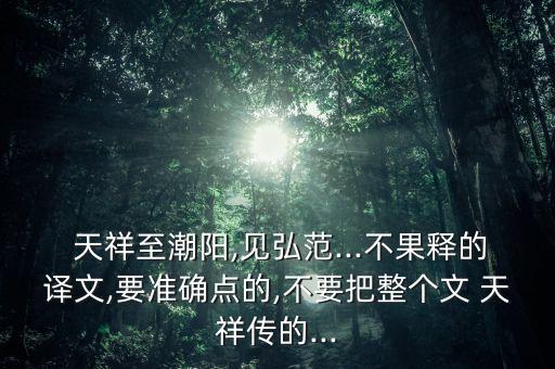  天祥至潮陽,見弘范...不果釋的譯文,要準(zhǔn)確點(diǎn)的,不要把整個文 天祥傳的...
