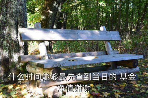 什么時間能夠最先查到當(dāng)日的 基金 凈值謝謝