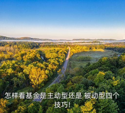 怎樣看基金是主動型還是 被動型四個(gè)技巧!
