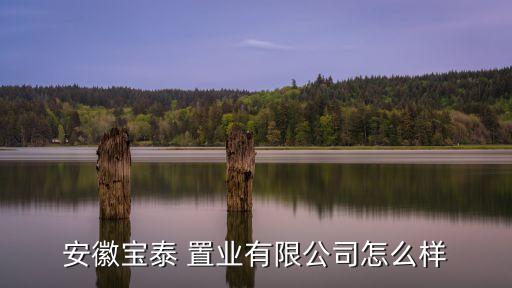 蕪湖華順置業(yè)投資有限責任公司