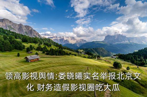 2015華誼兄弟公司財務問題