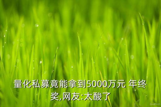 量化私募竟能拿到5000萬元 年終獎(jiǎng),網(wǎng)友:太酸了