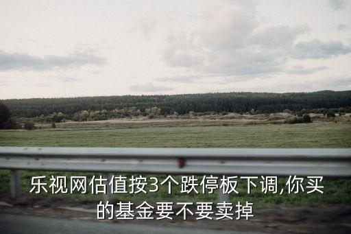  樂(lè)視網(wǎng)估值按3個(gè)跌停板下調(diào),你買的基金要不要賣掉