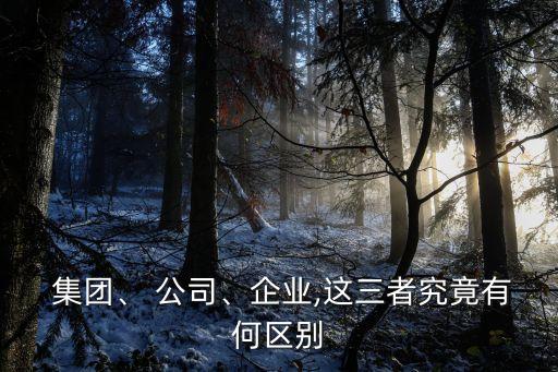  集團(tuán)、 公司、企業(yè),這三者究竟有何區(qū)別